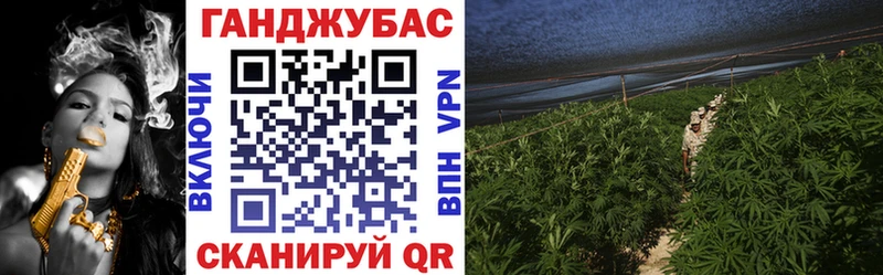 Бошки марихуана конопля  blacksprut сайт  Тотьма 